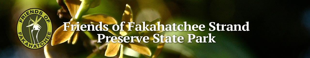 Friends of Fakahatchee Benefit Auction